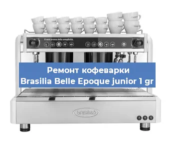 Замена | Ремонт термоблока на кофемашине Brasilia Belle Epoque junior 1 gr в Воронеже